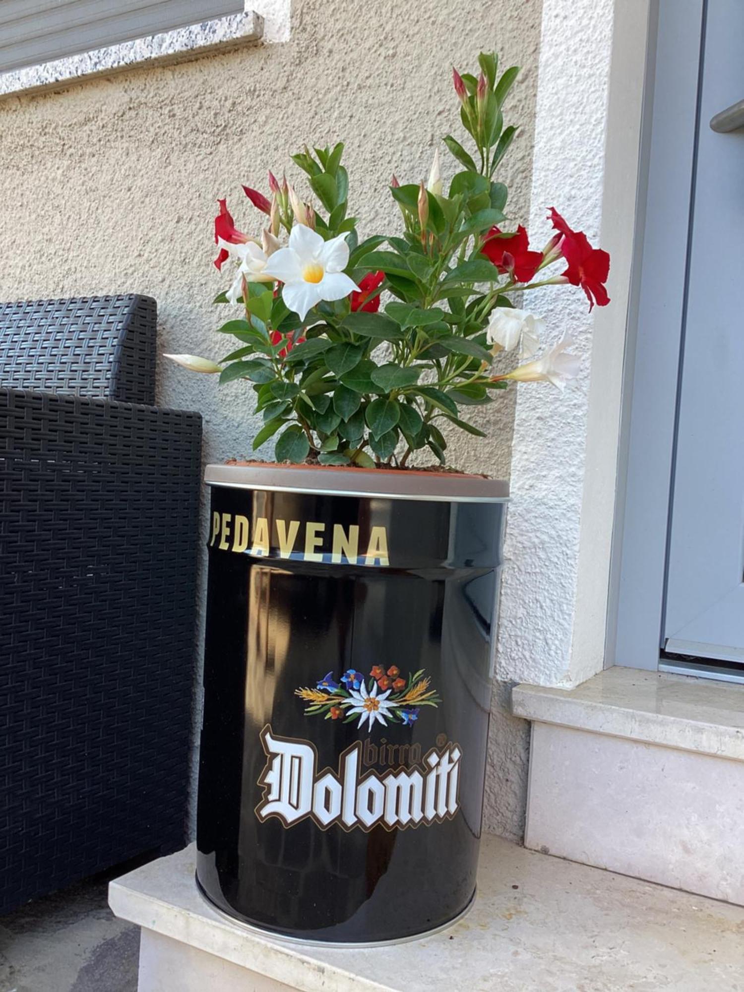 ペダヴェーナLa Stella Delle Dolomitiアパートメント エクステリア 写真